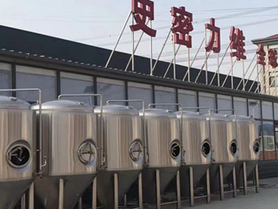 惠东精酿啤酒设备厂—如何判断精酿啤酒设备的密封件需要更换？