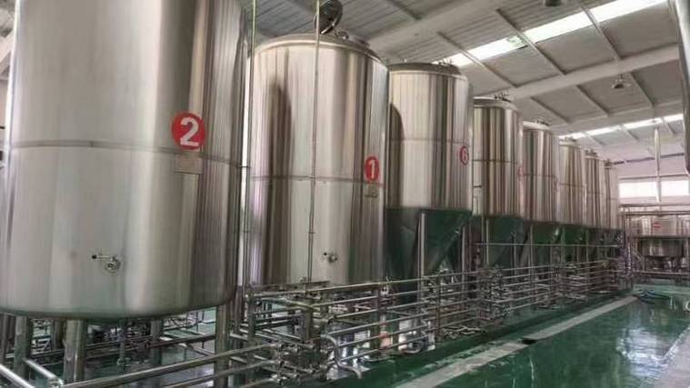 惠东日产10吨精酿啤酒设备多少钱？2026年全套报价帮你算明白